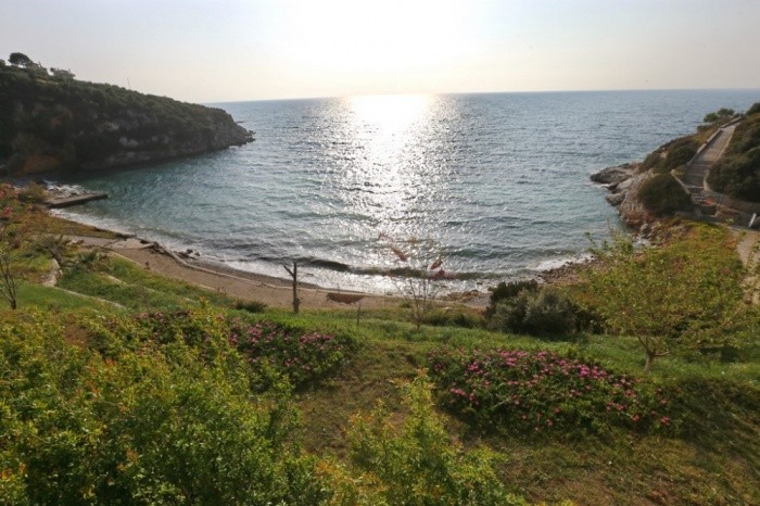 Dream Detached Villa With Private Pool