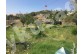Farm House with 2340m2 Private Garden in Kusadasi