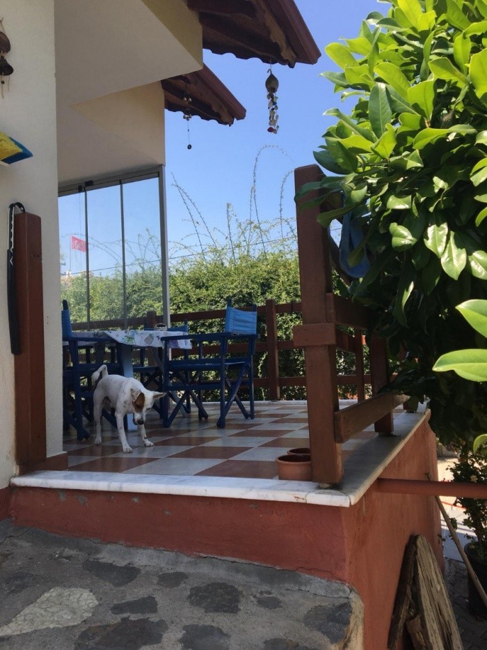 Farm House with 2340m2 Private Garden in Kusadasi