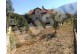 Farm House with 2340m2 Private Garden in Kusadasi