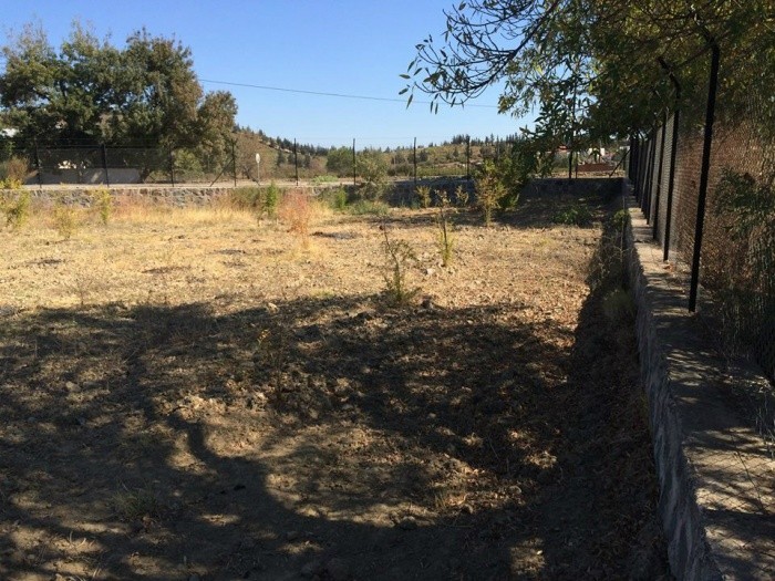 Farm House with 2340m2 Private Garden in Kusadasi