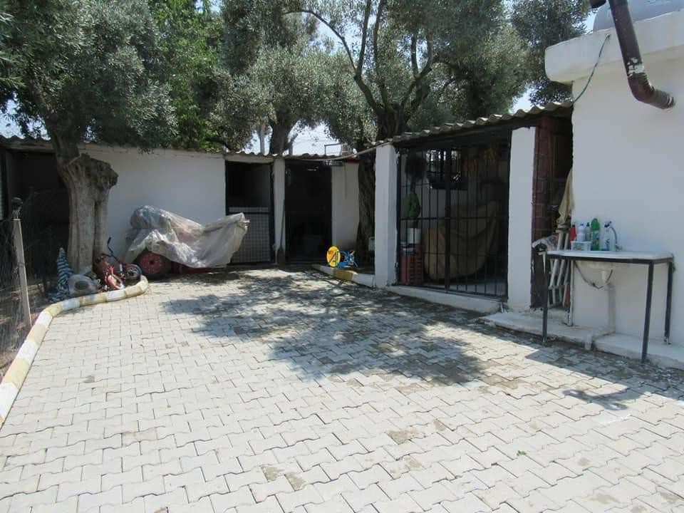 Very Private Farm House with Private Pool with 9.000m2 Land