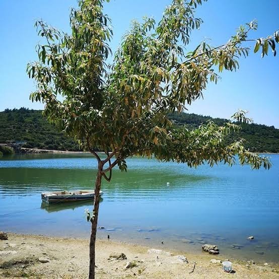 DETACHED LUXURY VILLA FOR SALE IN  KUSADASI LAKE WITH NATURE