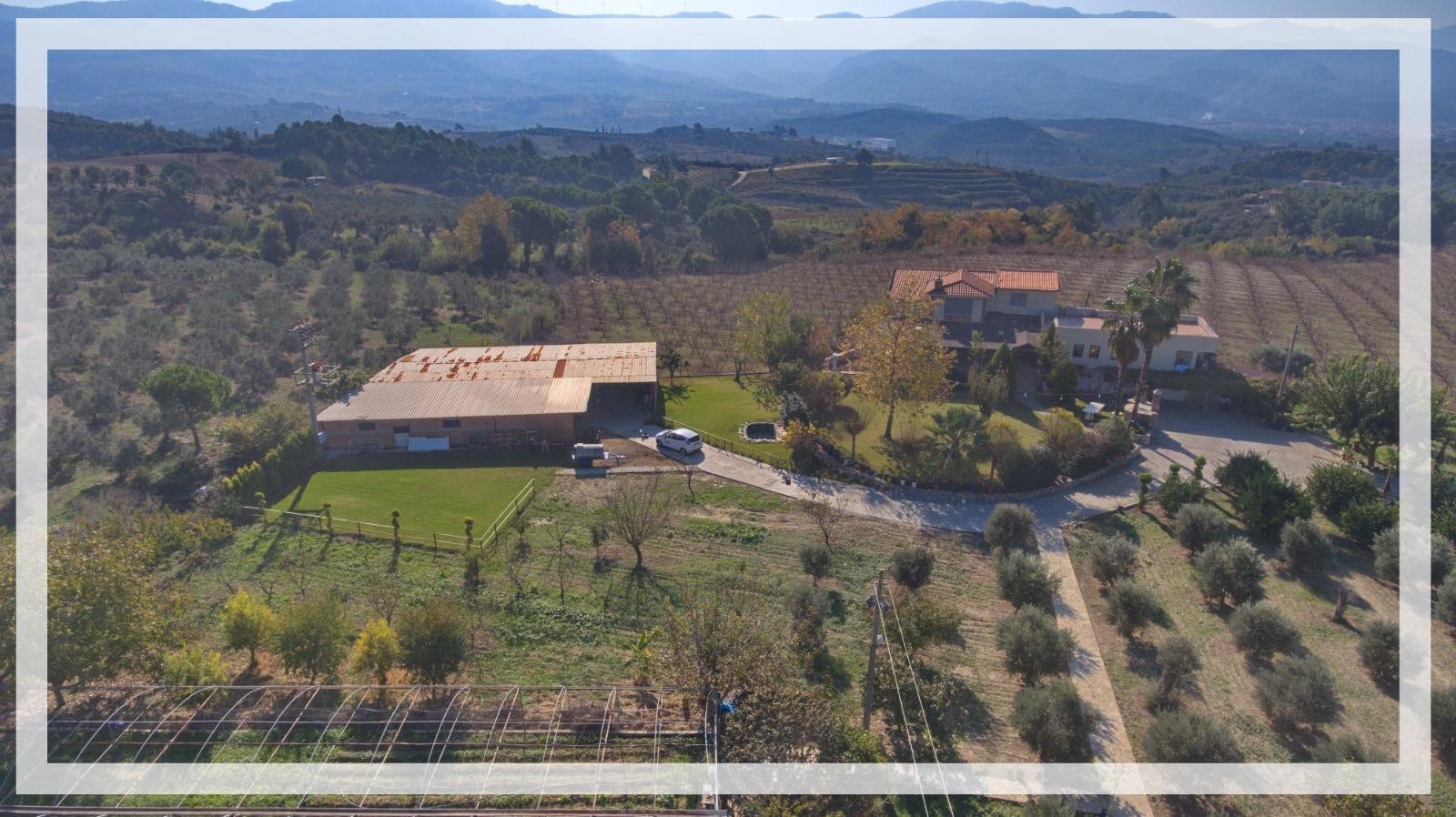 LUXURY FARM HOUSE ON PRIVATE LAND