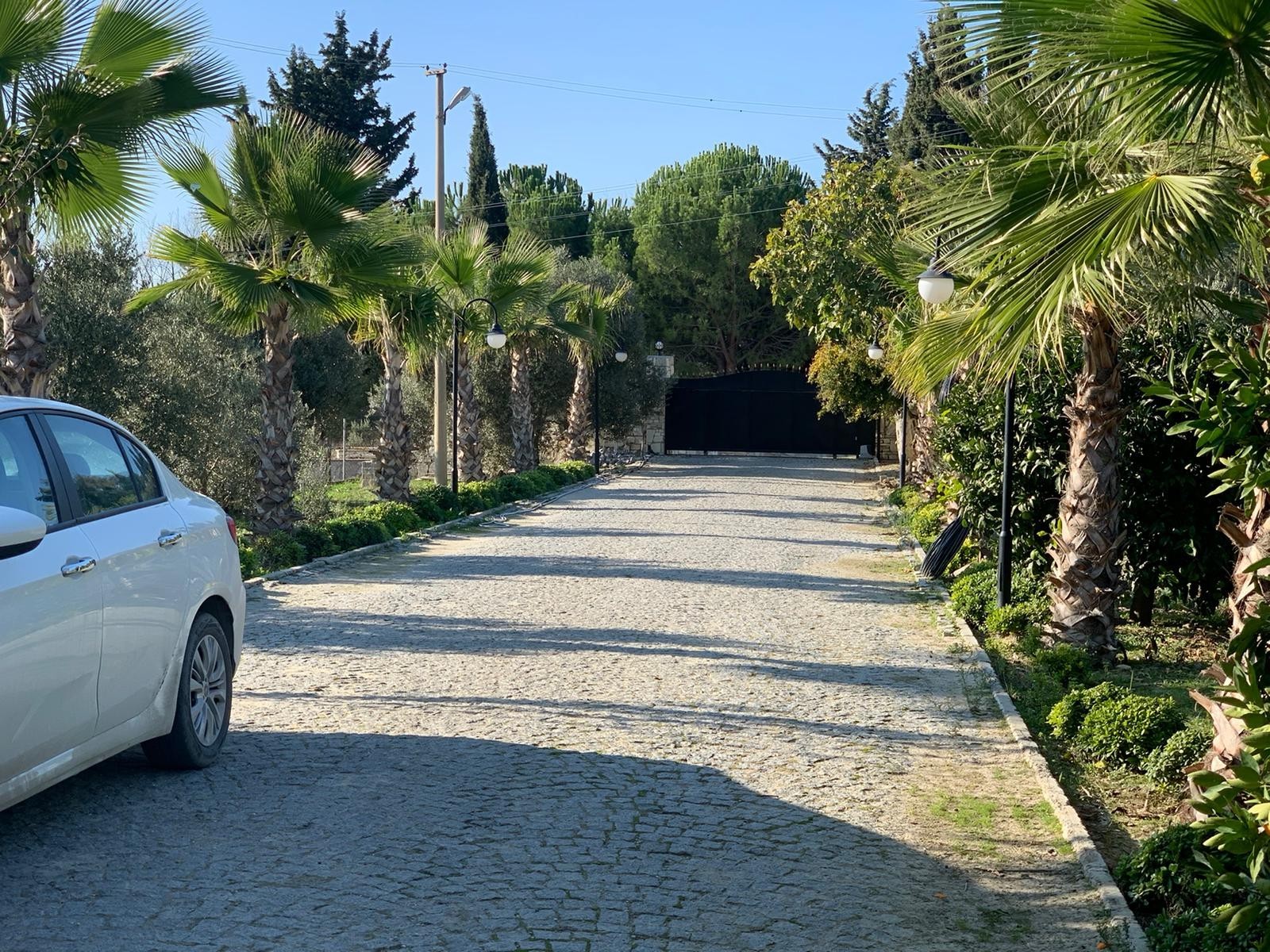 LUXURY FARM HOUSE ON PRIVATE LAND