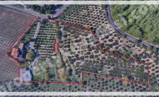 LUXURY FARM HOUSE ON PRIVATE LAND}