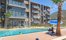 Opportunity 1+1 apartment for sale in luxury new project}
