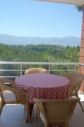 Private Pool Villa With Forest View