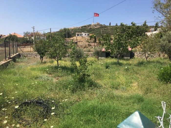 Farm House with 2340m2 Private Garden in Kusadasi