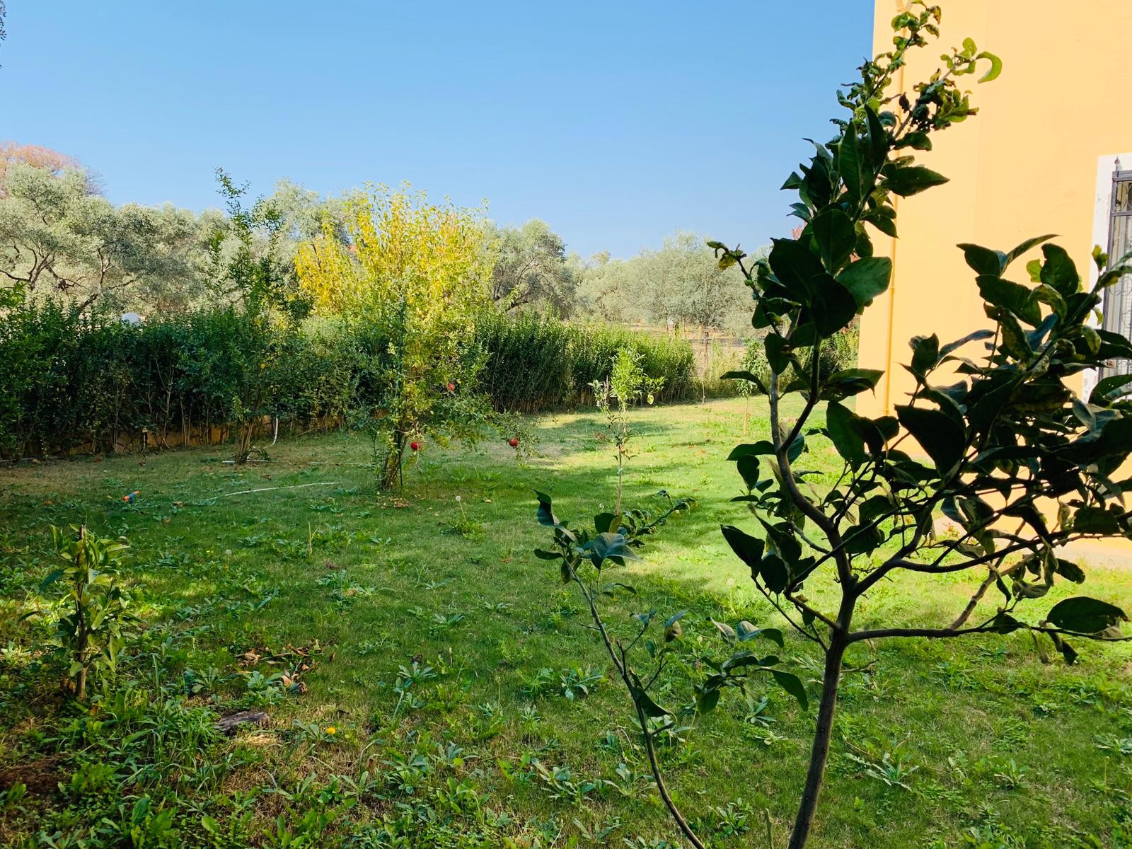 РОСКОШНАЯ ОТДЕЛЬНАЯ ВИЛЛА С ЧАСТНЫМ УЧАСТКОМ ПЛОЩАДЬЮ 1200 М2 В КУШАДАСЫ.