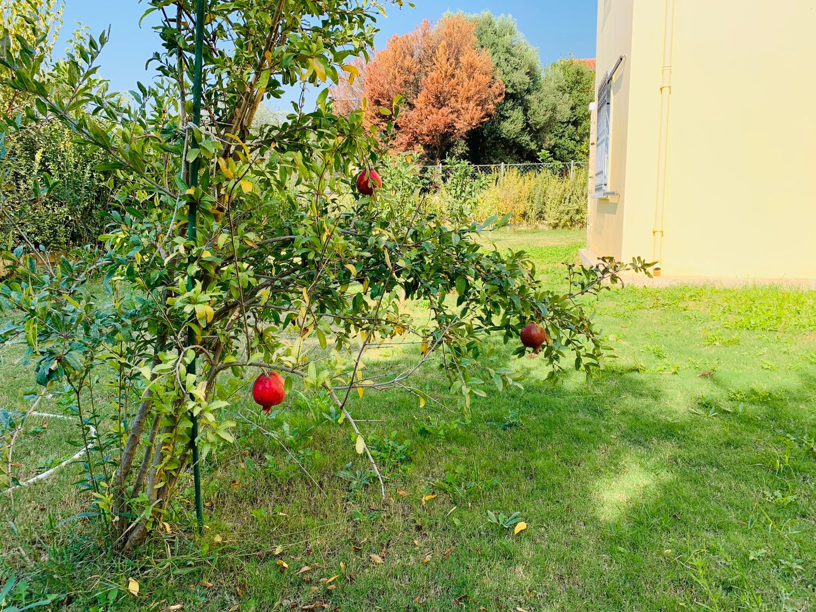 РОСКОШНАЯ ОТДЕЛЬНАЯ ВИЛЛА С ЧАСТНЫМ УЧАСТКОМ ПЛОЩАДЬЮ 1200 М2 В КУШАДАСЫ.