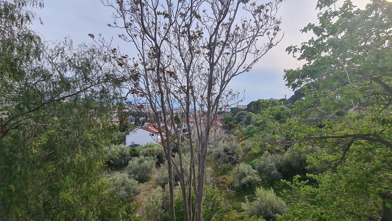 1 Block (5 Fully Furnished Apartments for sale) walking distance to blue lagged sandy ladies beach