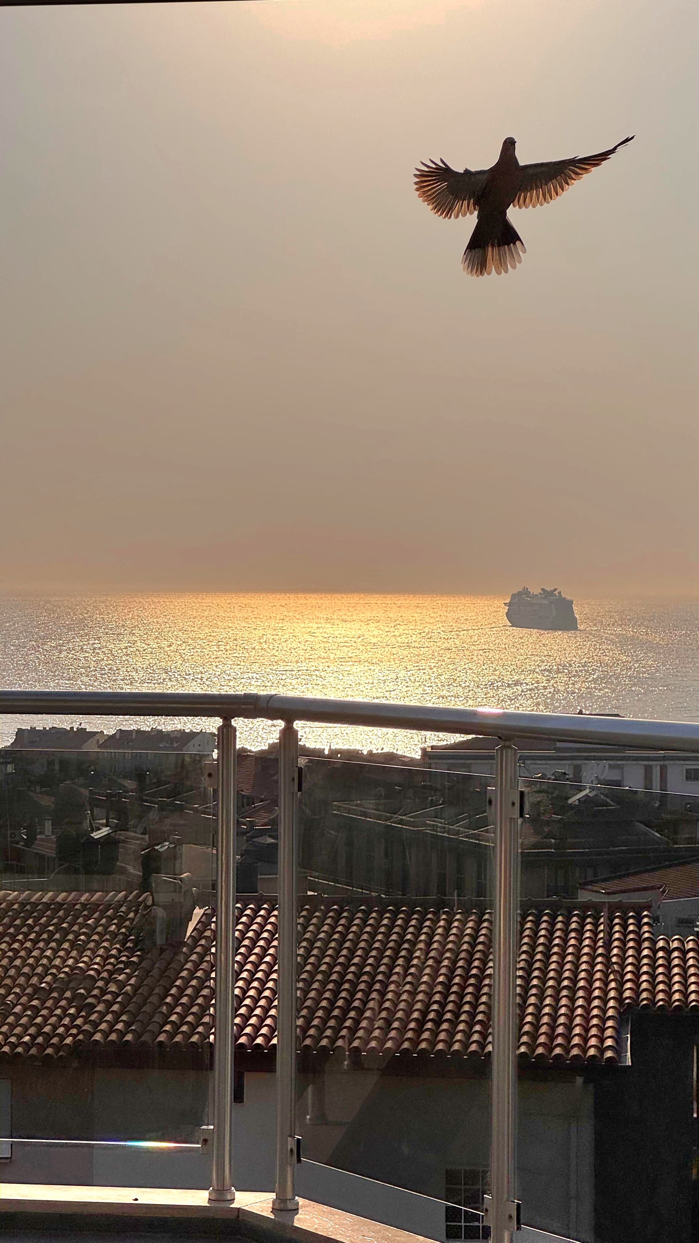 3-Bedroom Penthouse Duplex with Panoramic Sea Views near Kuşadası Marina